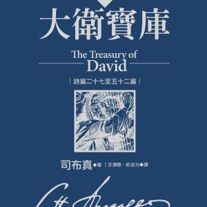 大衛寶庫 (2)