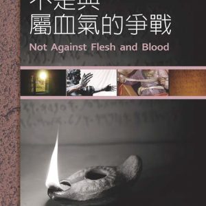 不是與屬血氣的爭戰
