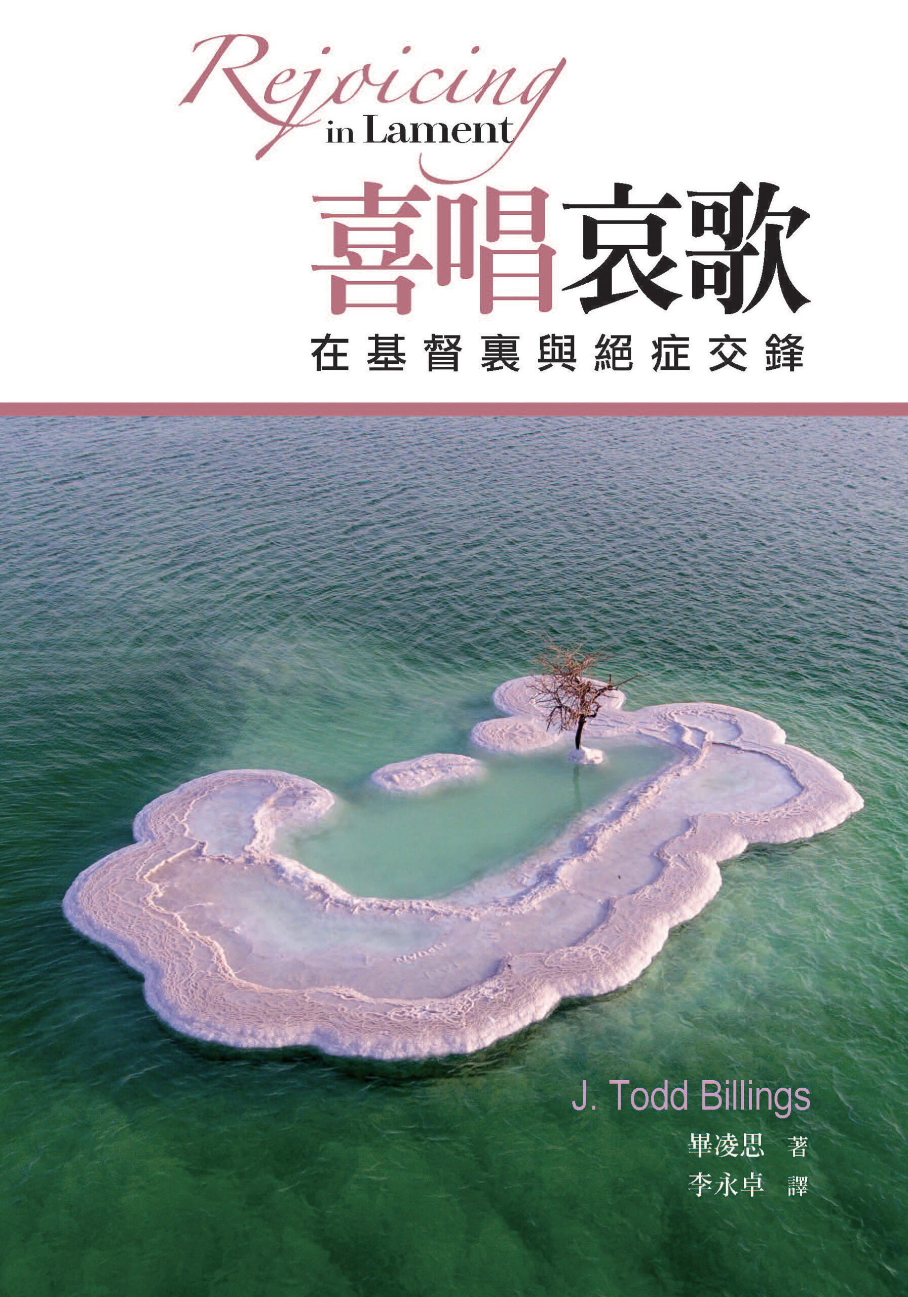 壓傷的蘆葦 - 图片 5