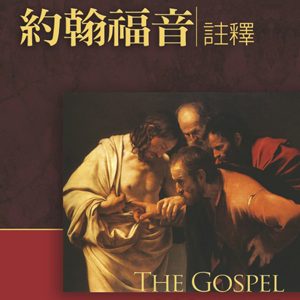 約翰福音註釋